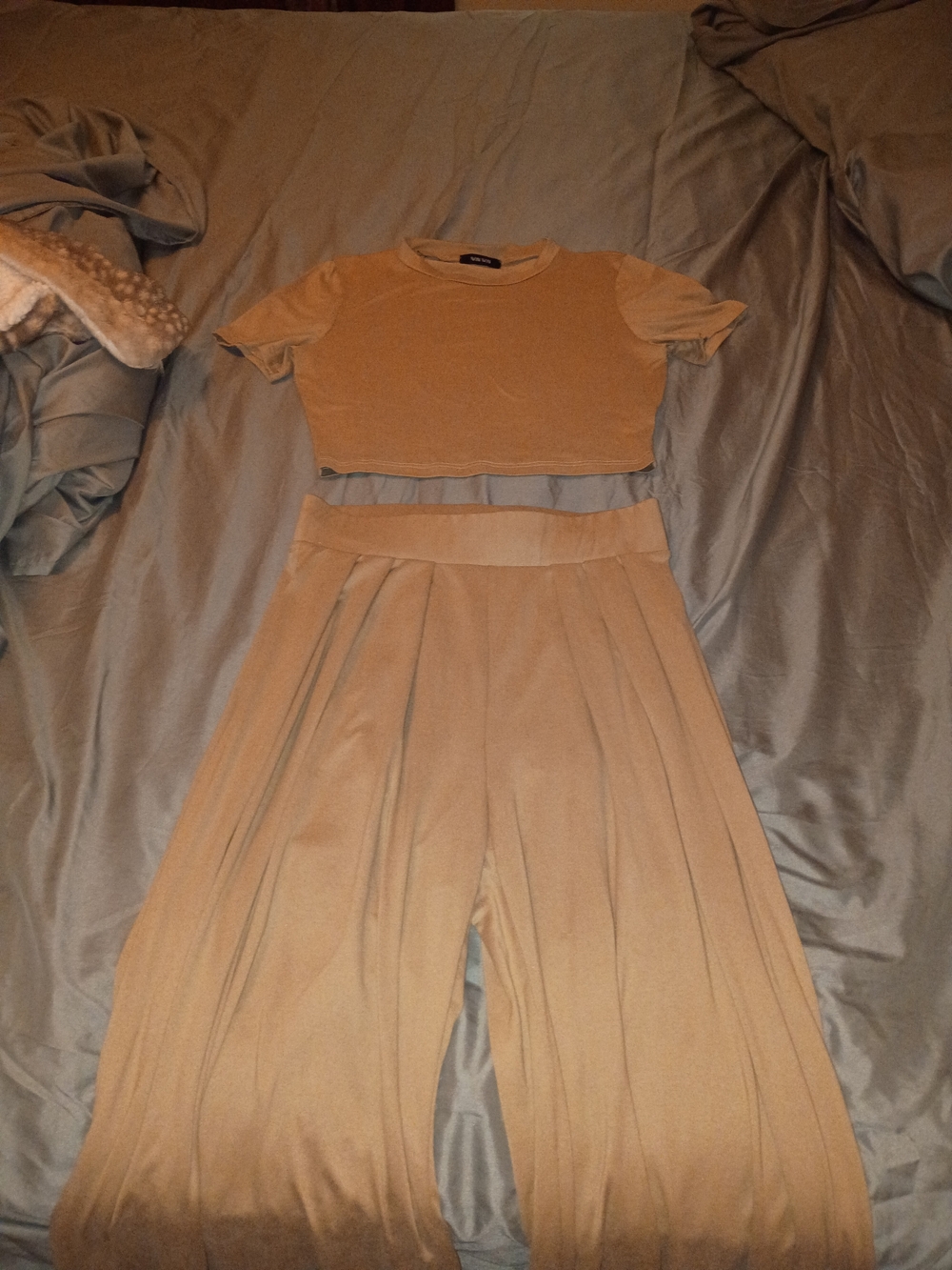 WinWin Wide-Leg Pleated Pants in Camel Brown